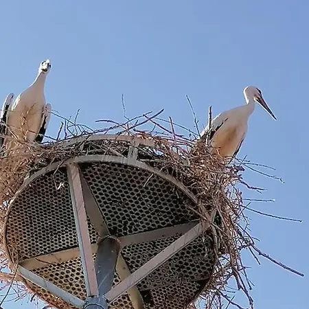 Ferienwohnung Storchennest Oettingen in Bayern