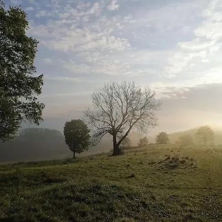 Ferienwohnung Storchennest Διαμέρισμα Oettingen in Bayern